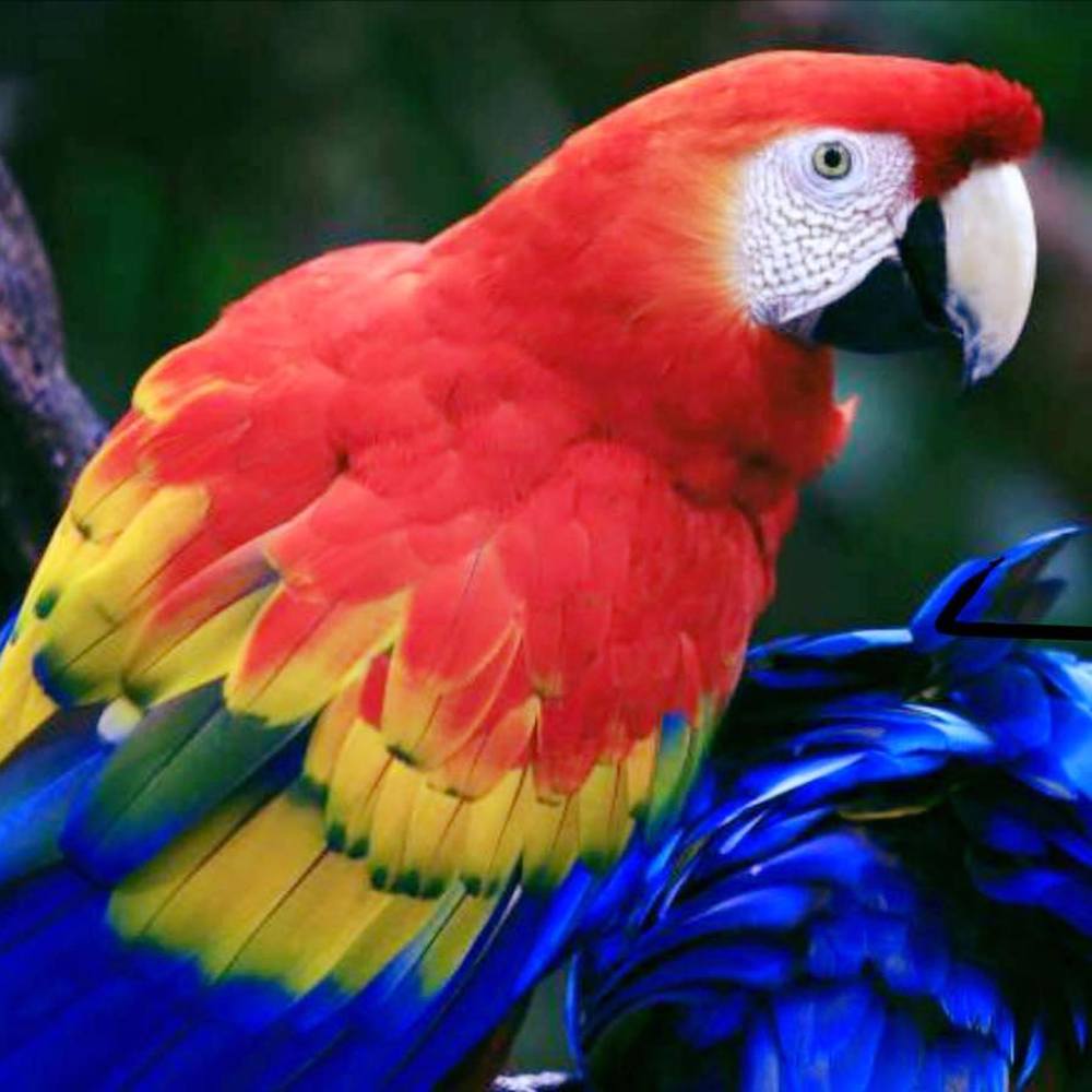 Meet your Posher, Arina